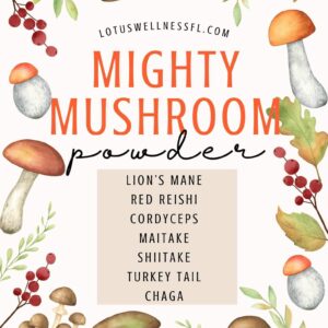 Mighty Mushroom Powder